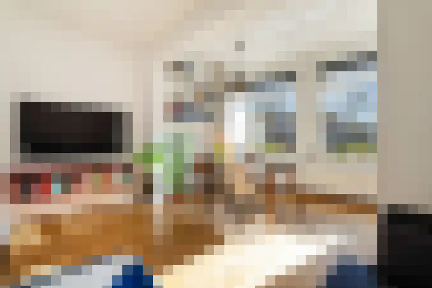 Oude Rijn 98 Leiden thumbnail 8