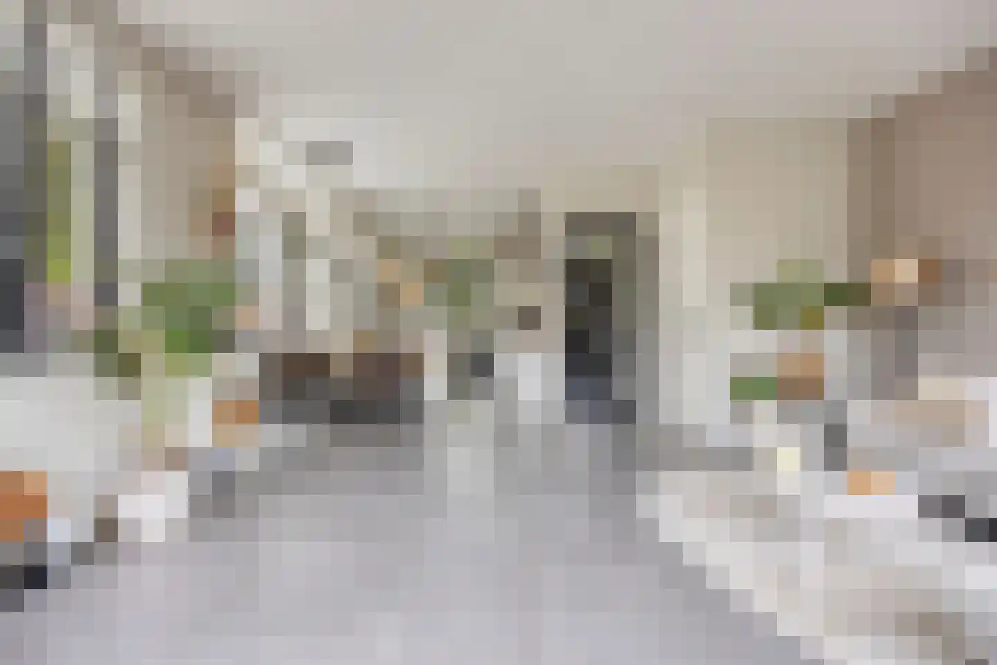 Oude Rijnsburgerweg 78 Oegstgeest thumbnail 14