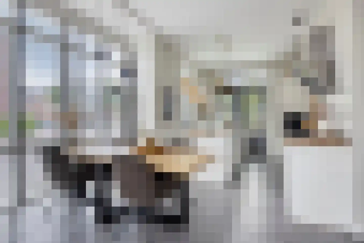 Oude Rijnsburgerweg 78 Oegstgeest thumbnail 15
