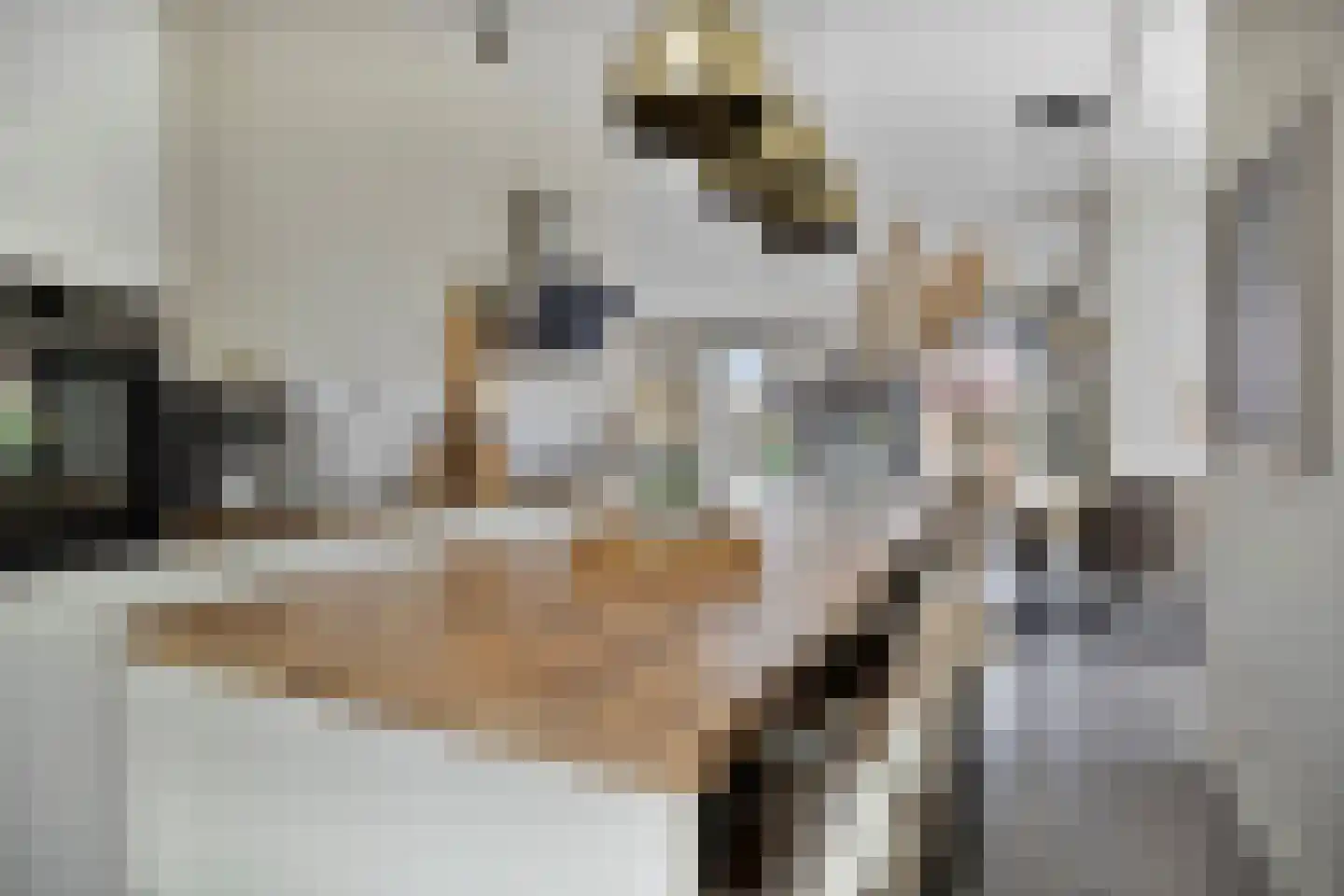Oude Rijnsburgerweg 78 Oegstgeest thumbnail 16