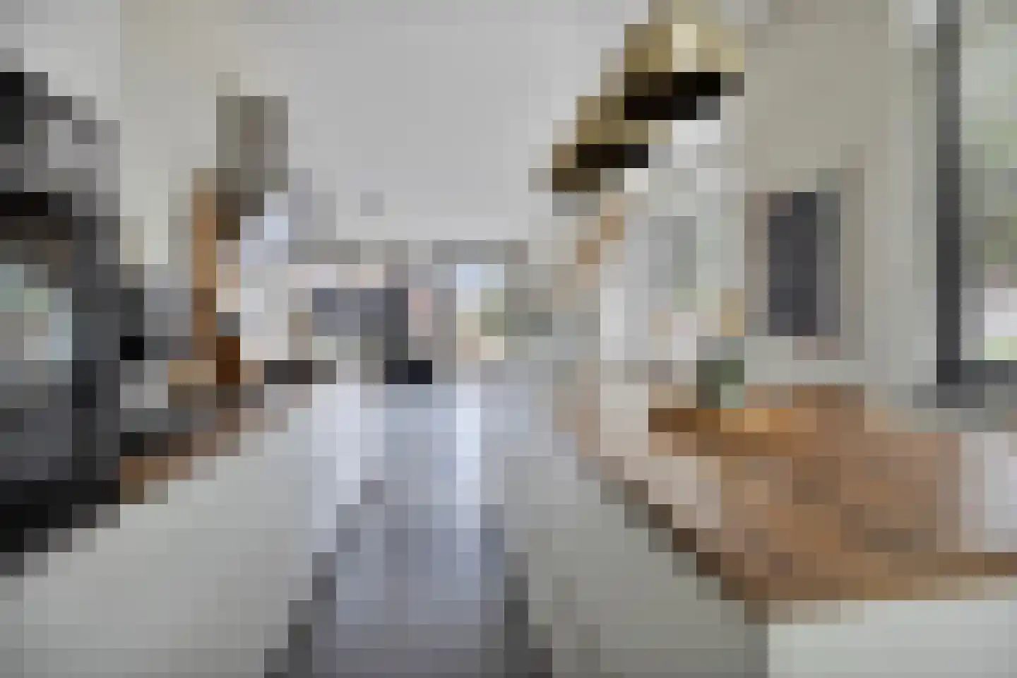 Oude Rijnsburgerweg 78 Oegstgeest thumbnail 17
