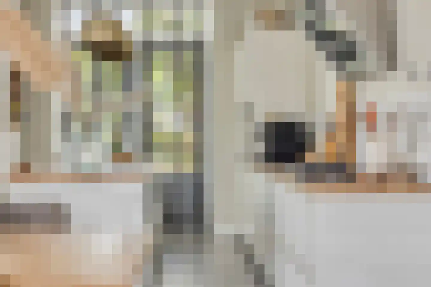Oude Rijnsburgerweg 78 Oegstgeest thumbnail 22