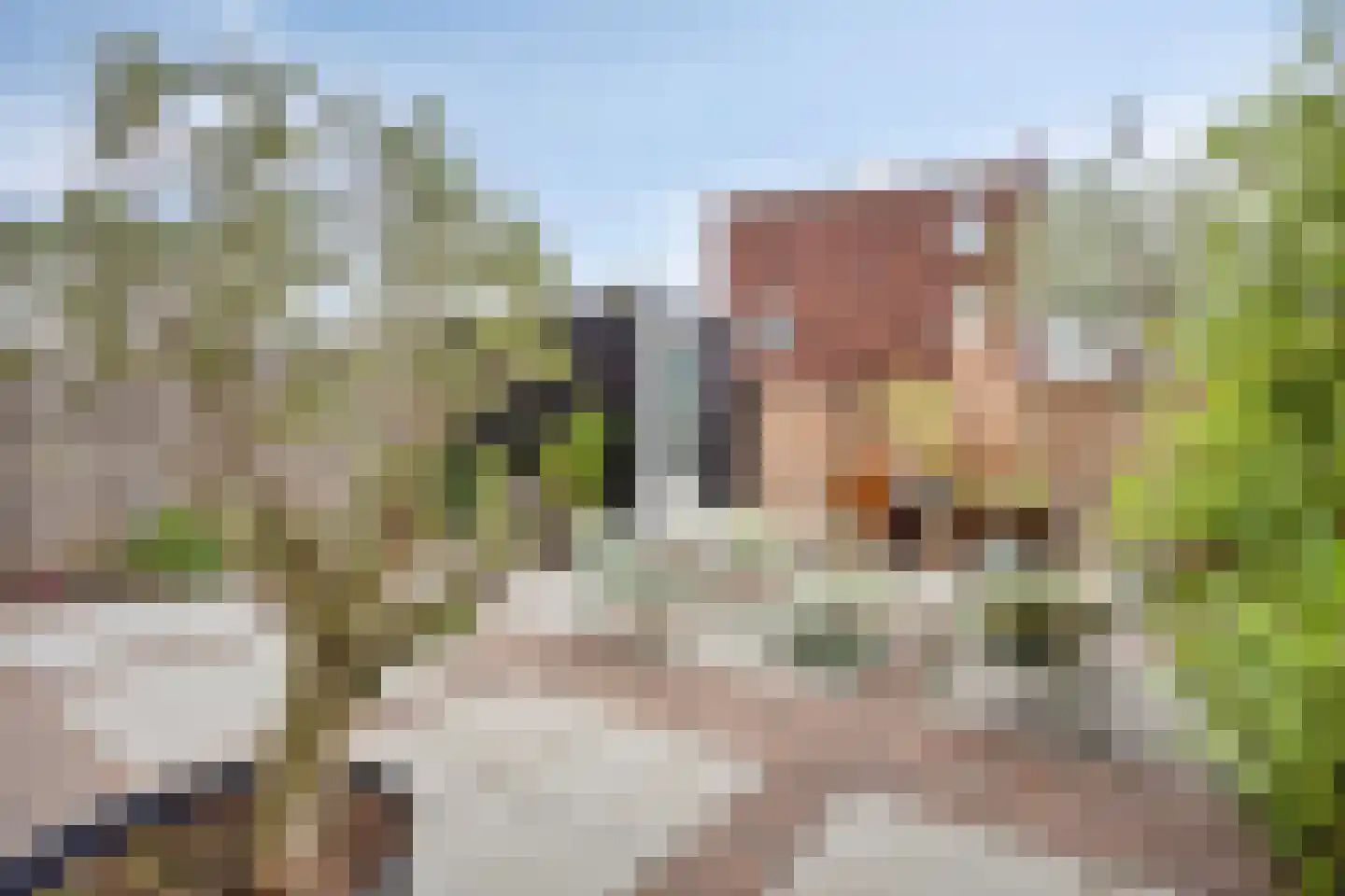 Oude Rijnsburgerweg 78 Oegstgeest thumbnail 25