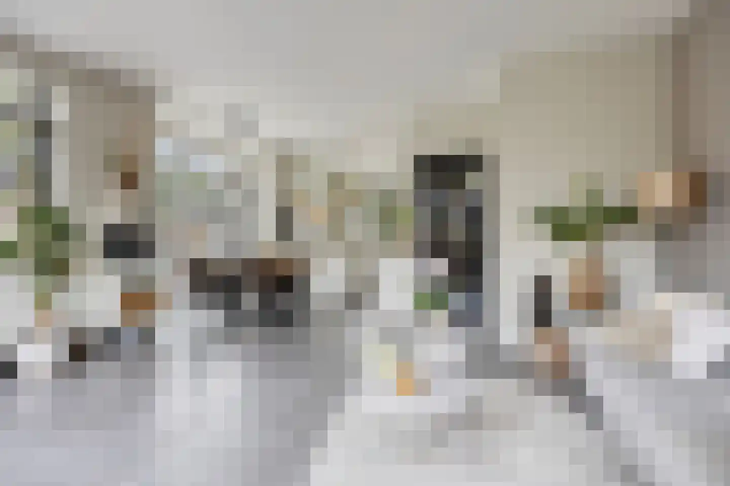 Oude Rijnsburgerweg 78 Oegstgeest thumbnail 4