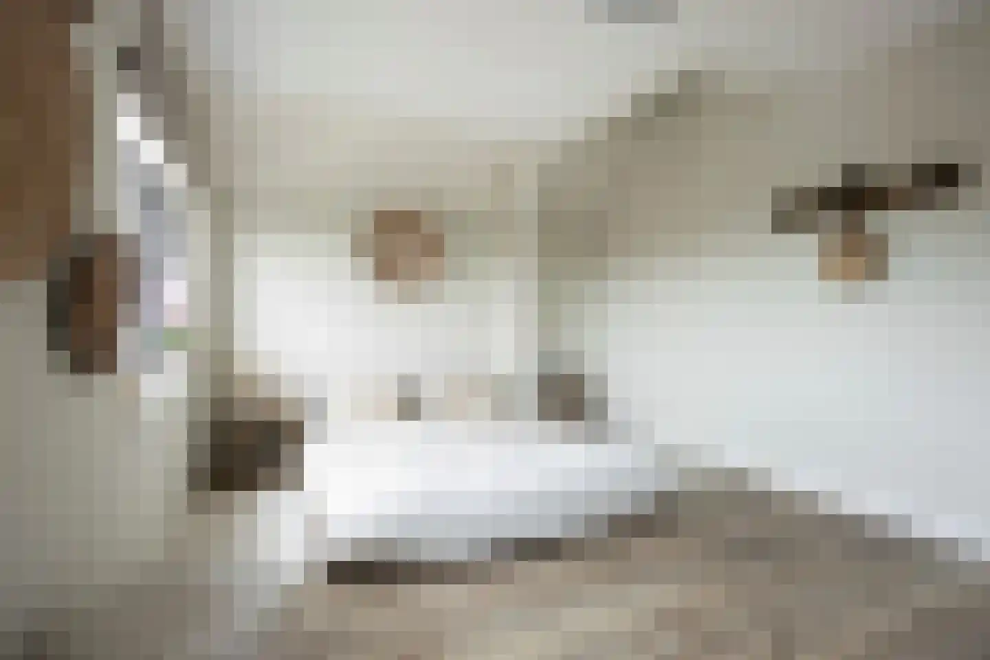 Oude Rijnsburgerweg 78 Oegstgeest thumbnail 49