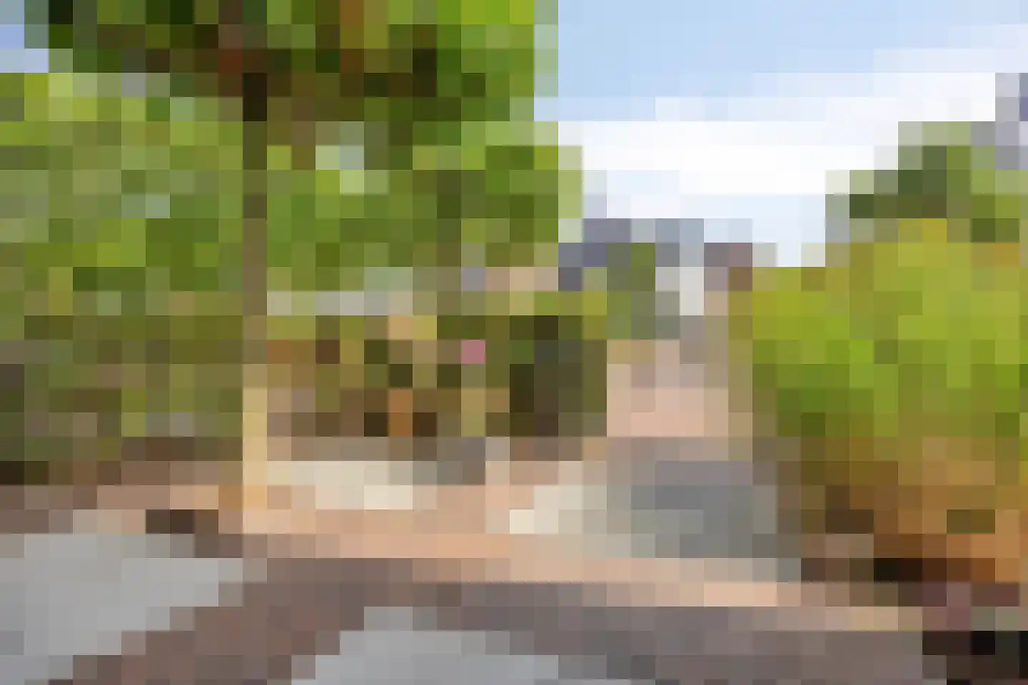 Oude Rijnsburgerweg 78 Oegstgeest thumbnail 8