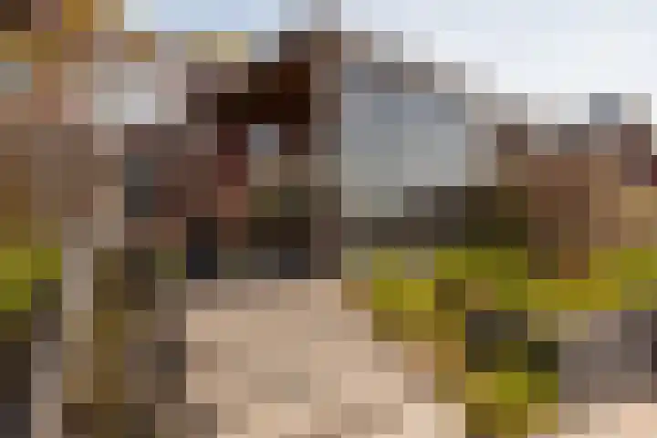 Oude Rijnsburgerweg 94 Oegstgeest thumbnail 53