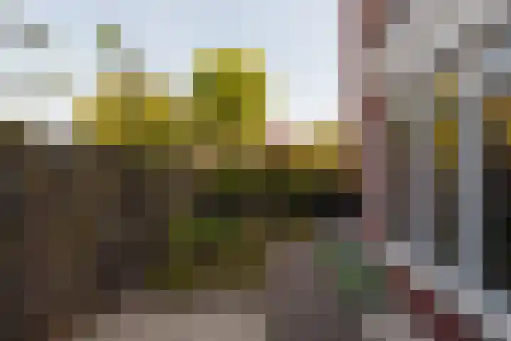 Oude Rijnsburgerweg 94 Oegstgeest thumbnail 57
