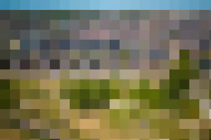 Oude Rijnsburgerweg 94 Oegstgeest thumbnail 61
