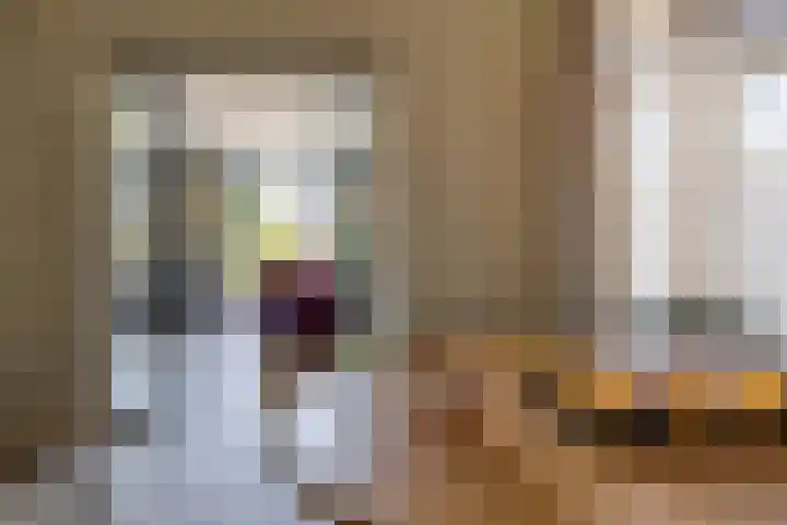 Oude Rijnsburgerweg 94 Oegstgeest thumbnail 9