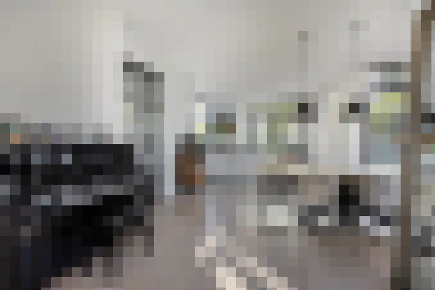 Oude Rijnsburgerweg 98 Oegstgeest thumbnail 10