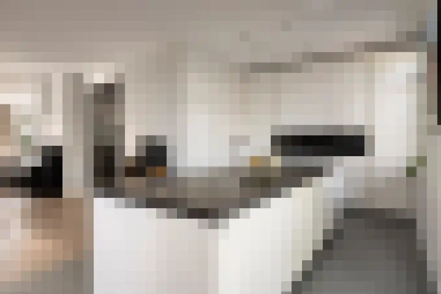 Oude Rijnsburgerweg 98 Oegstgeest thumbnail 12