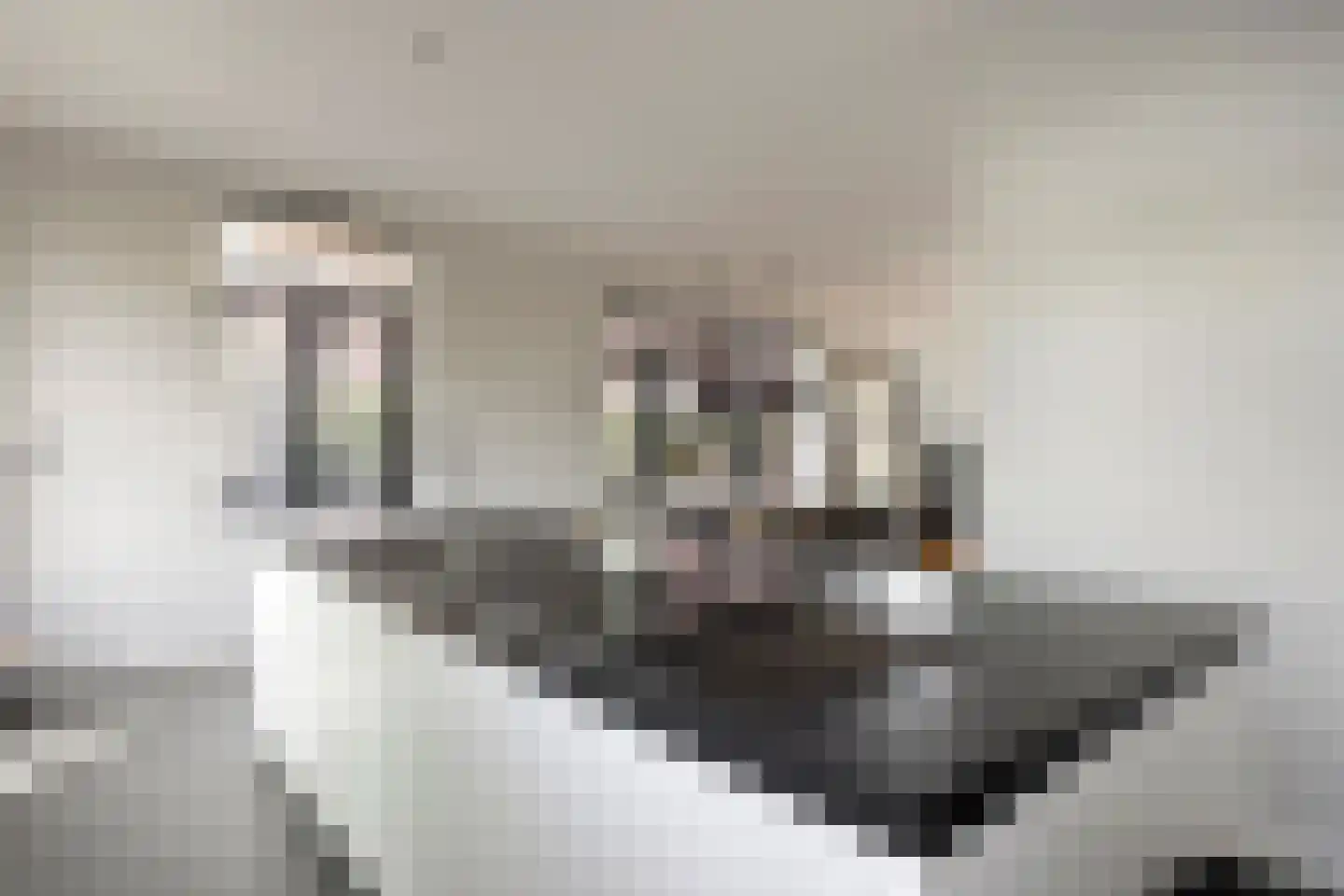 Oude Rijnsburgerweg 98 Oegstgeest thumbnail 14
