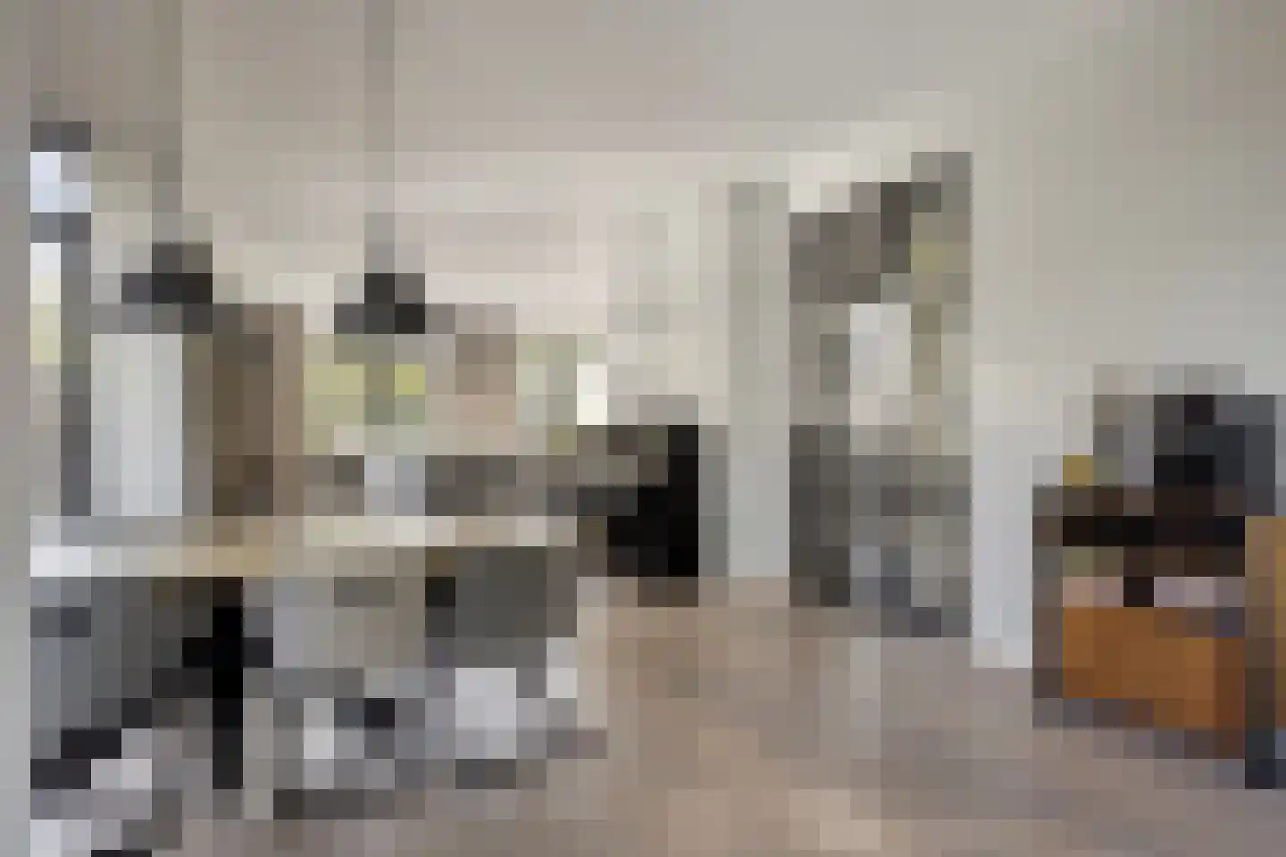 Oude Rijnsburgerweg 98 Oegstgeest thumbnail 17