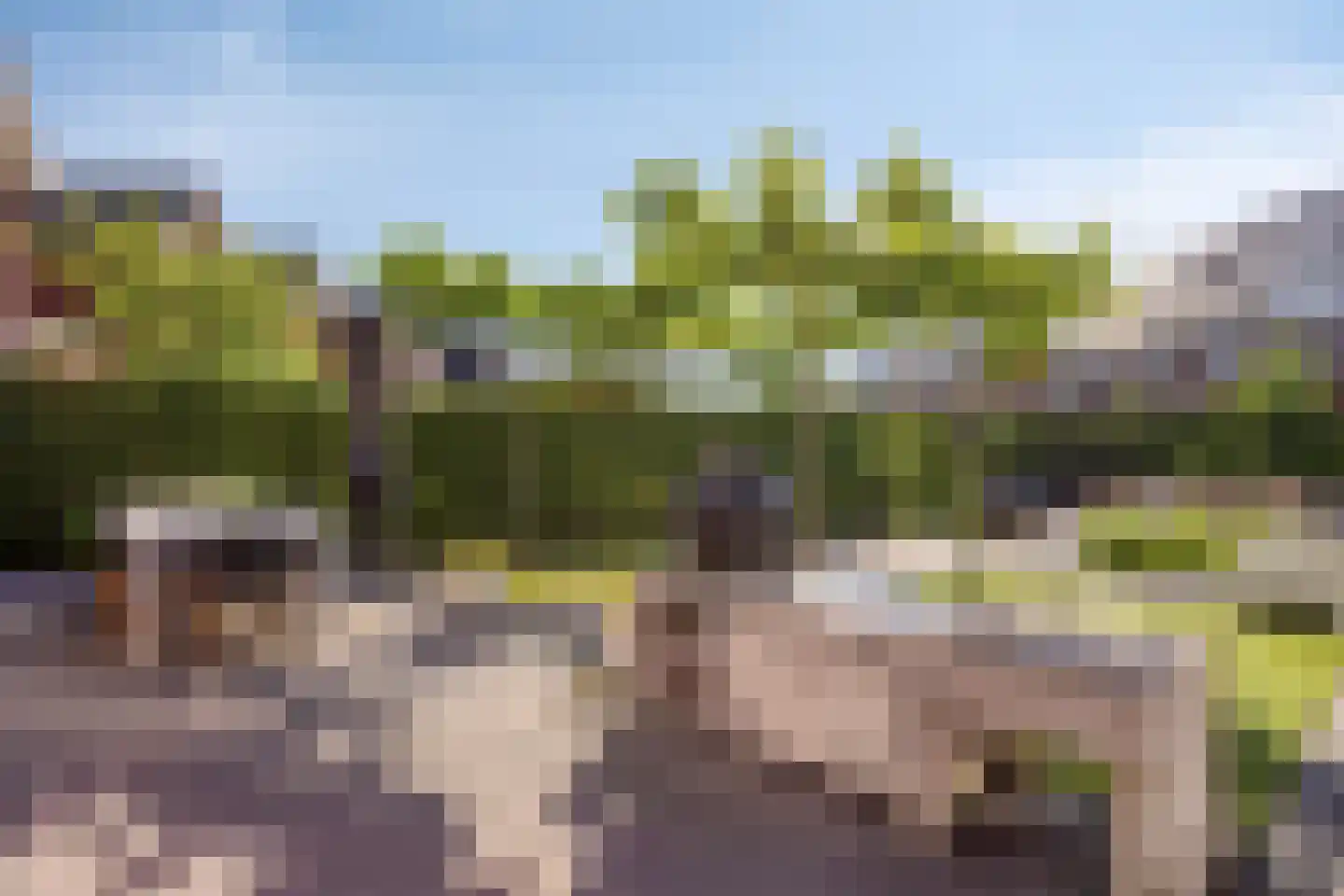 Oude Rijnsburgerweg 98 Oegstgeest thumbnail 26