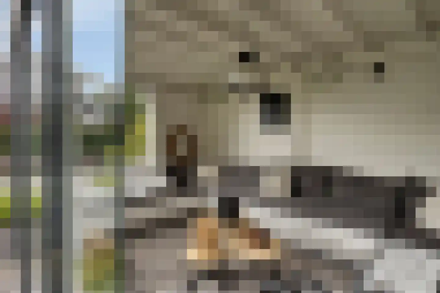 Oude Rijnsburgerweg 98 Oegstgeest thumbnail 29