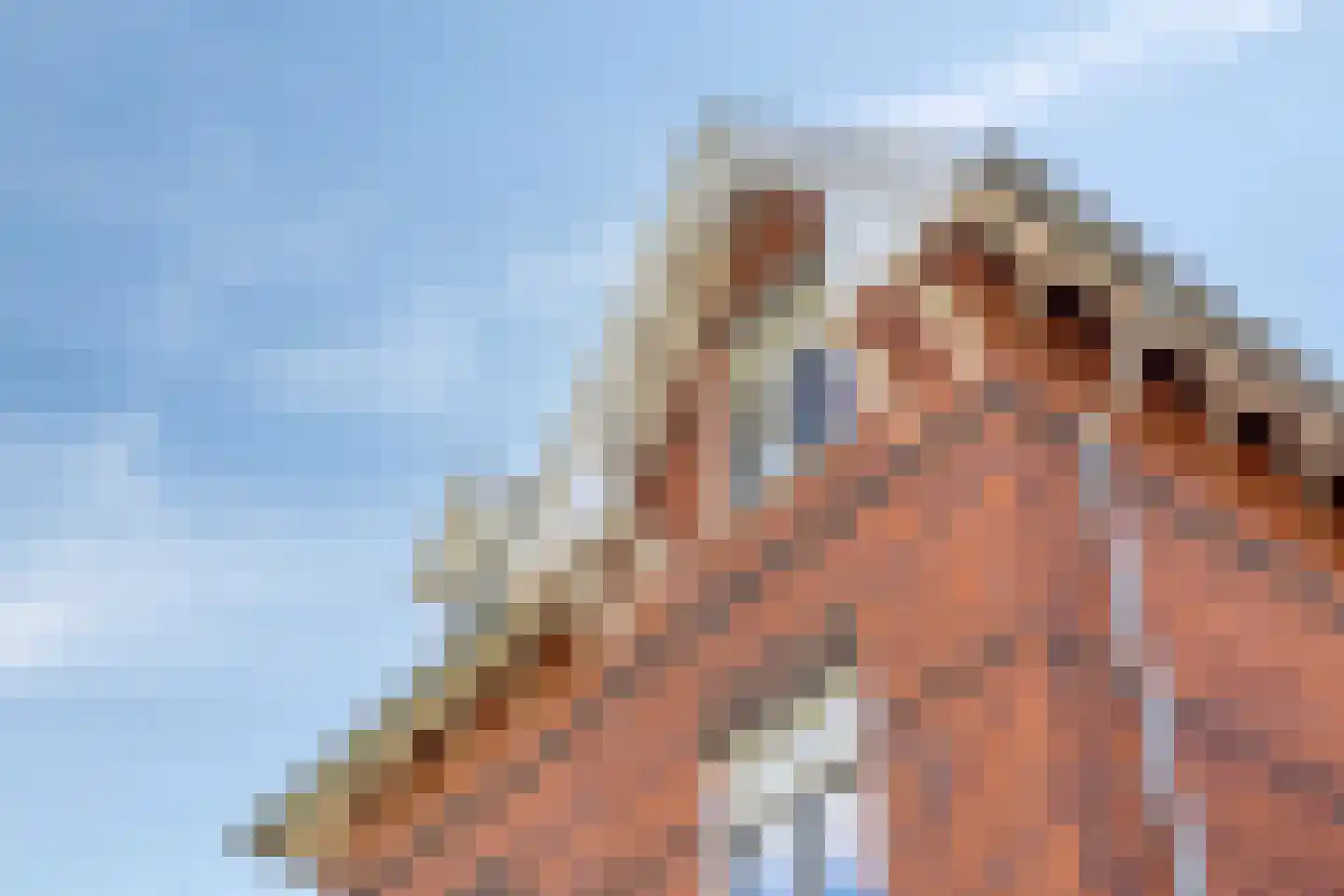 Oude Rijnsburgerweg 98 Oegstgeest thumbnail 5