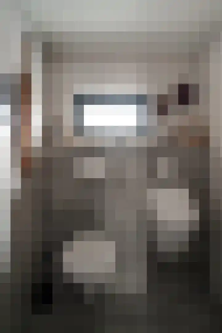 Oude Rijnstraat 4 Pannerden thumbnail 26