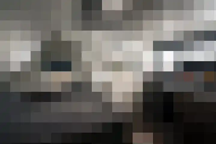 Oude Rijnstraat 4 Pannerden thumbnail 38