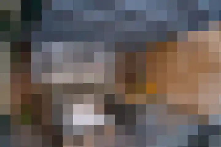 Oude Rijnstraat 4 Pannerden thumbnail 45