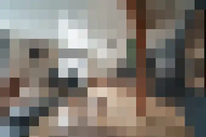 Oude Rijnstraat 4 Pannerden thumbnail 7