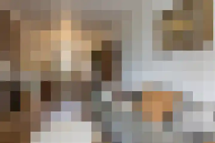 Oude Rijnzichtweg 5 Oegstgeest thumbnail 10