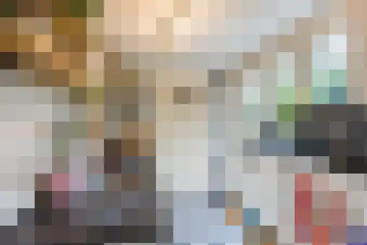 Oude Rijnzichtweg 5 Oegstgeest thumbnail 16