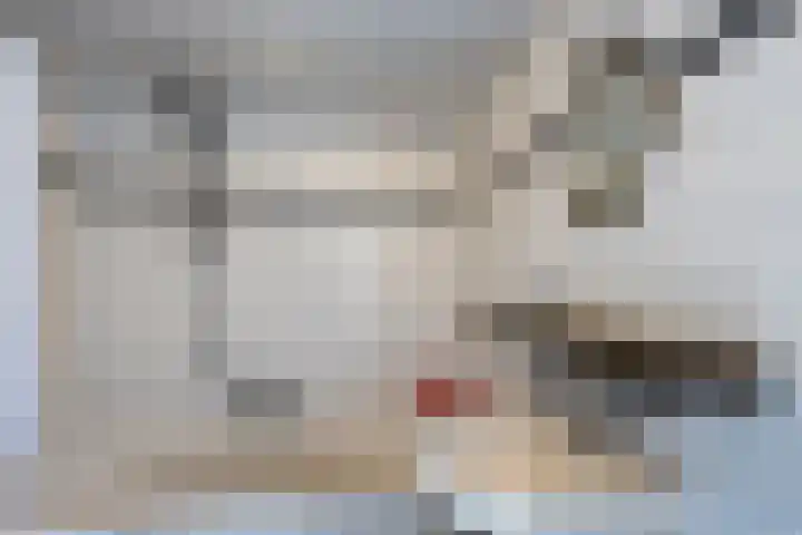 Oude Rijnzichtweg 5 Oegstgeest thumbnail 19