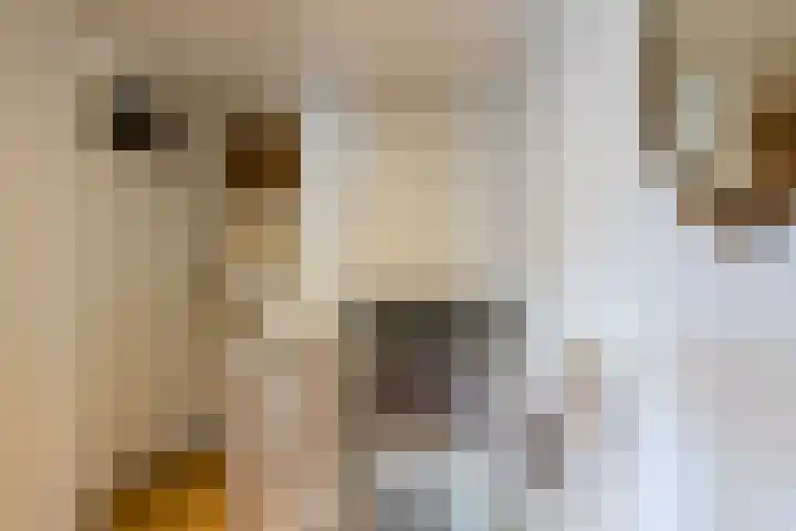 Oude Rijnzichtweg 5 Oegstgeest thumbnail 22
