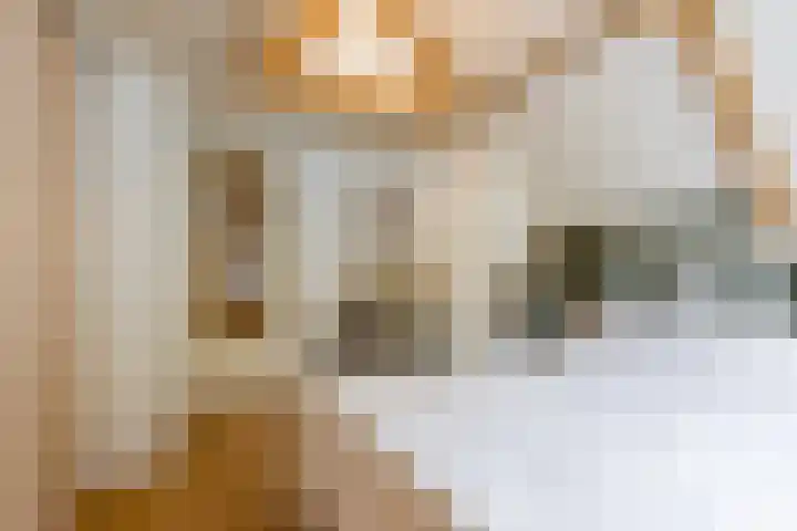 Oude Rijnzichtweg 5 Oegstgeest thumbnail 25