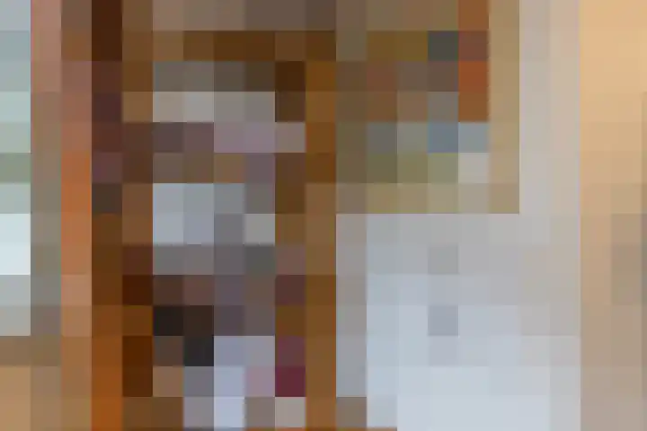 Oude Rijnzichtweg 5 Oegstgeest thumbnail 28