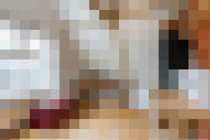 Oude Rijnzichtweg 5 Oegstgeest thumbnail 29