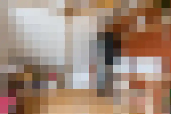 Oude Rijnzichtweg 5 Oegstgeest thumbnail 30