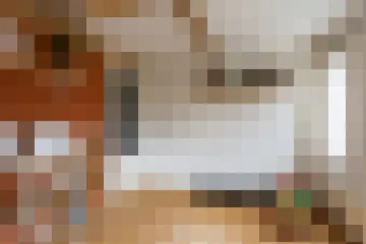 Oude Rijnzichtweg 5 Oegstgeest thumbnail 32
