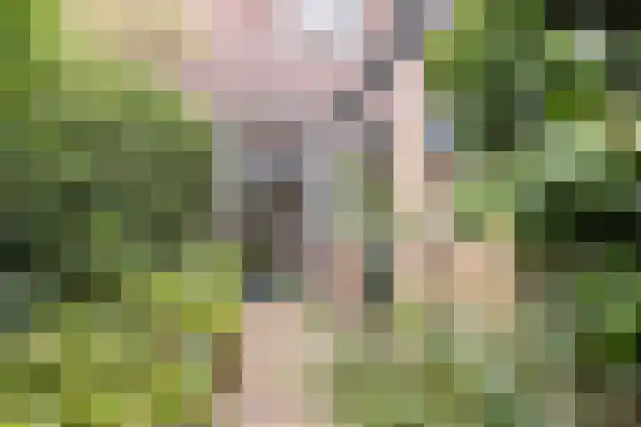 Oude Rijnzichtweg 5 Oegstgeest thumbnail 34
