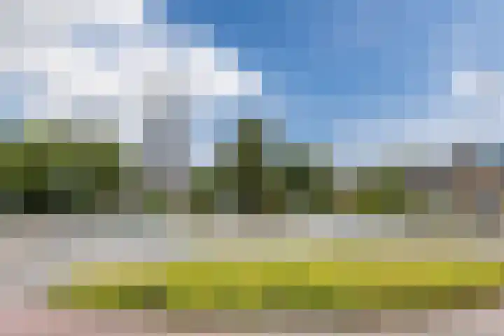 Oude Rijnzichtweg 5 Oegstgeest thumbnail 36