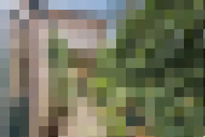 Oude Rijnzichtweg 5 Oegstgeest thumbnail 4