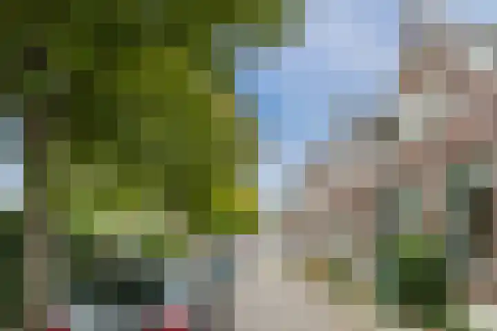 Oude Rijnzichtweg 5 Oegstgeest thumbnail 6