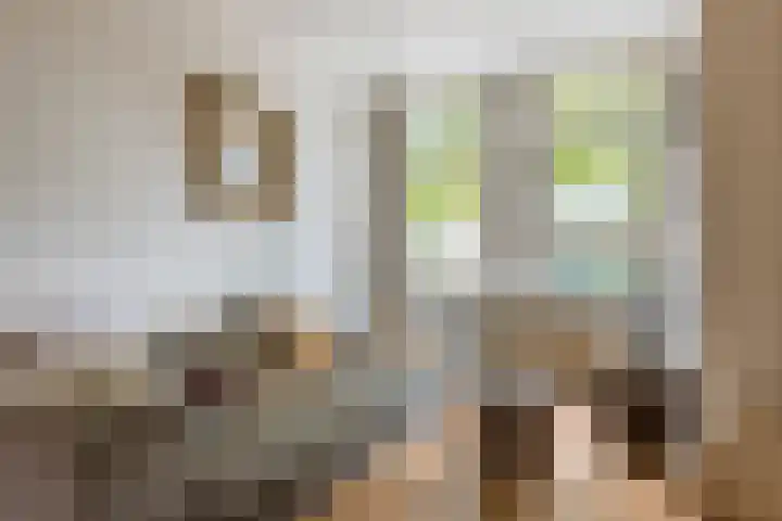 Oude Rijnzichtweg 5 Oegstgeest thumbnail 7