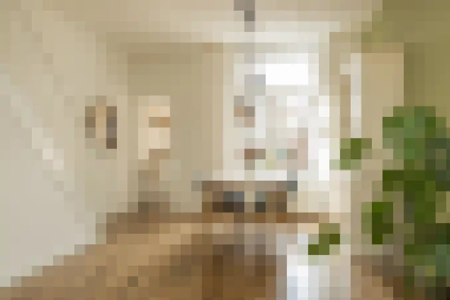 Oude Rijnzichtweg 9 Oegstgeest thumbnail 10