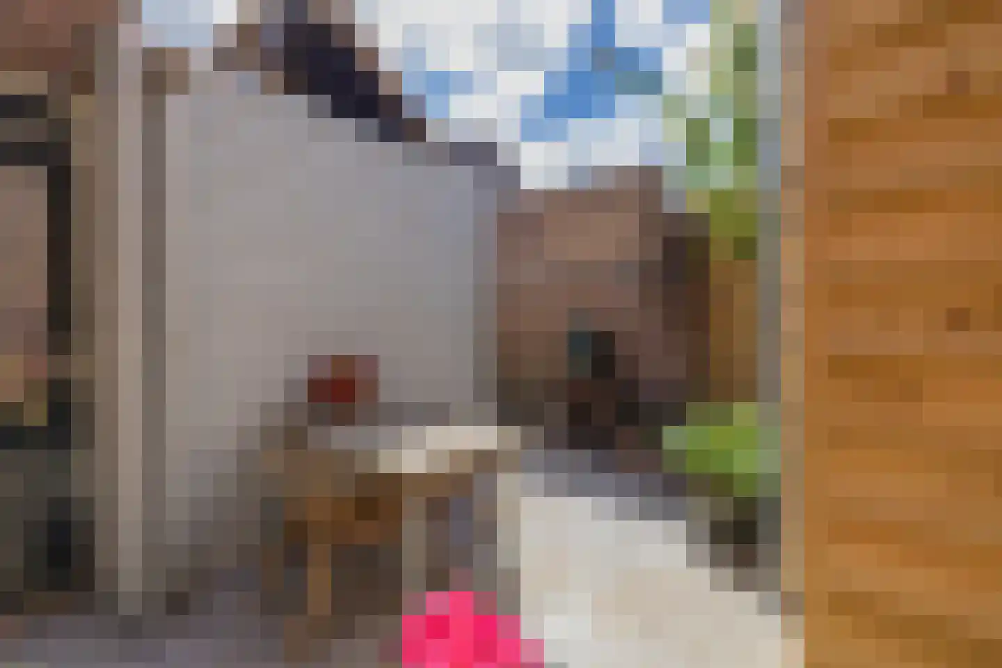 Oude Rijnzichtweg 9 Oegstgeest thumbnail 16