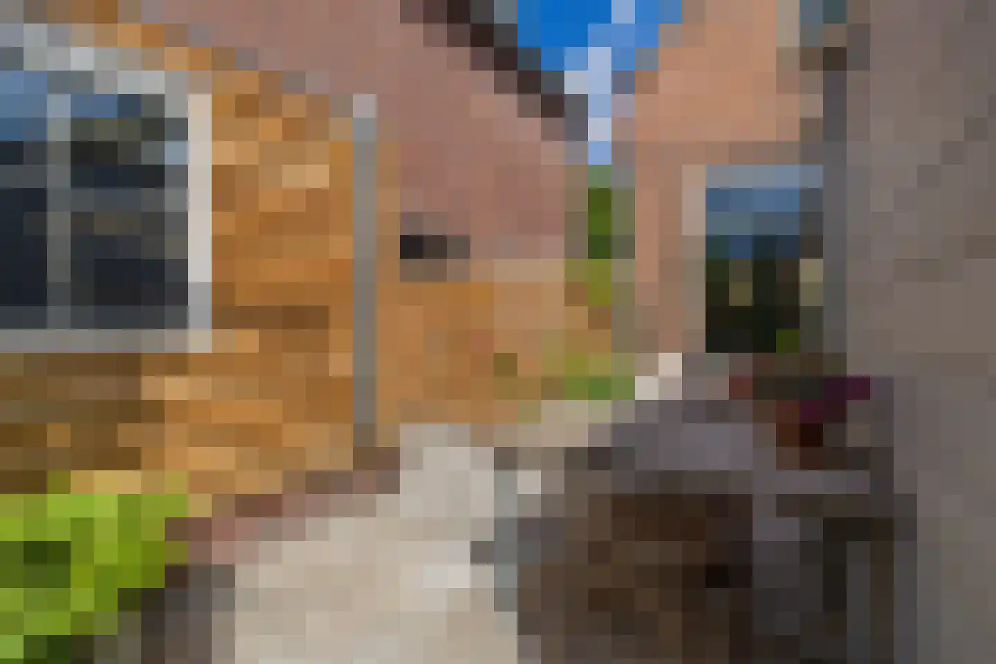 Oude Rijnzichtweg 9 Oegstgeest thumbnail 17