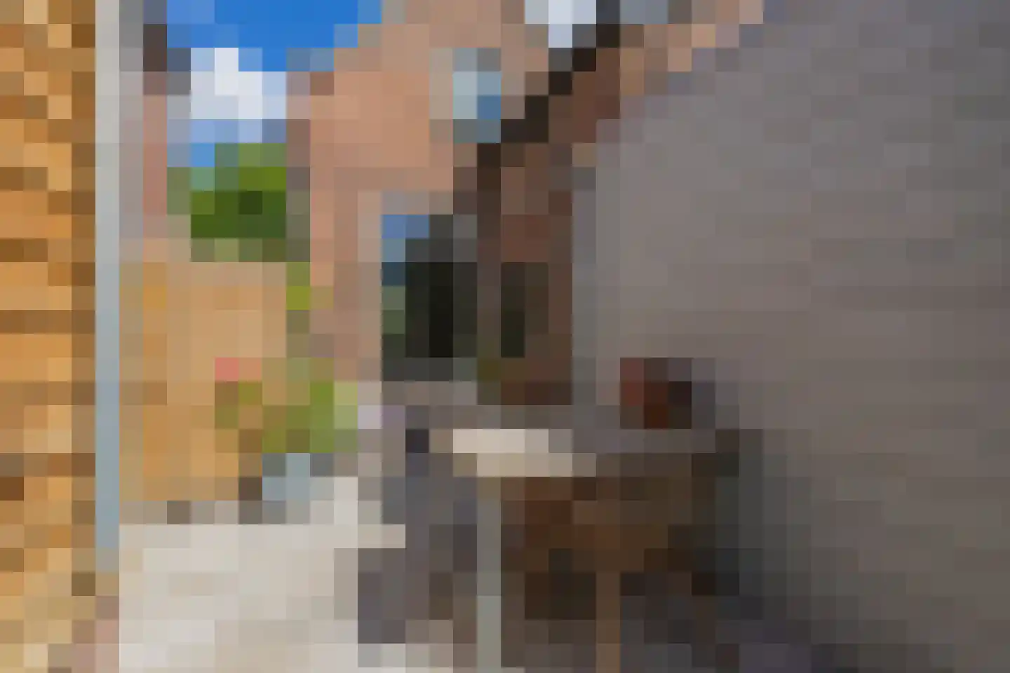 Oude Rijnzichtweg 9 Oegstgeest thumbnail 18