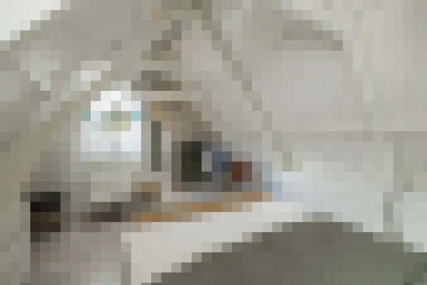 Oude Rijnzichtweg 9 Oegstgeest thumbnail 20