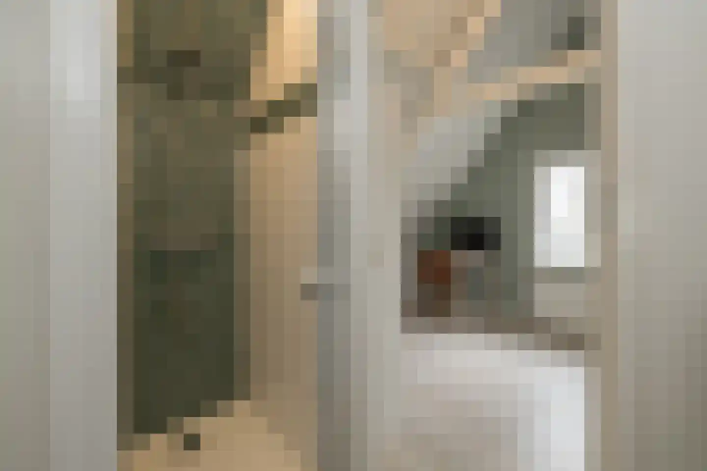 Oude Rijnzichtweg 9 Oegstgeest thumbnail 22
