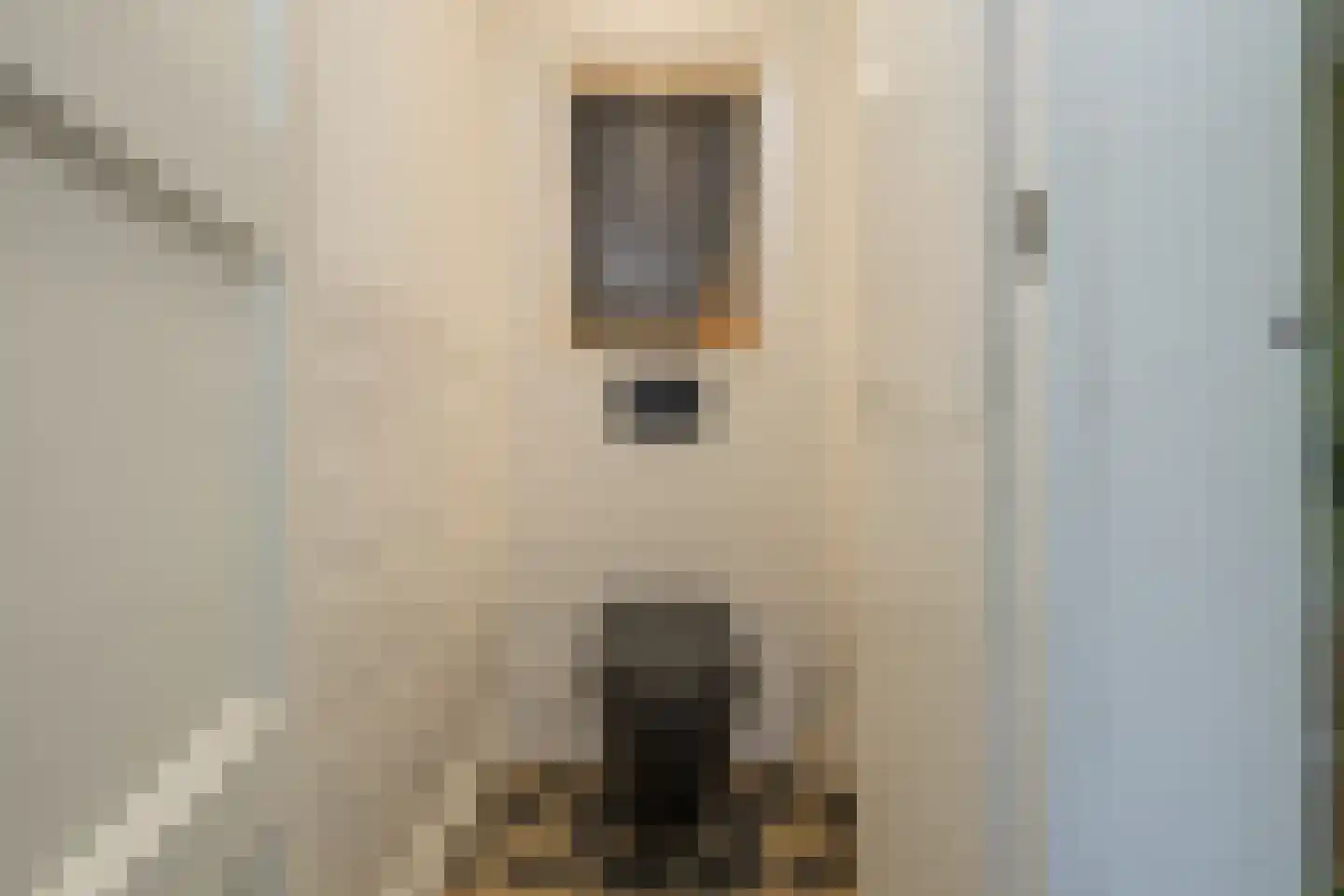Oude Rijnzichtweg 9 Oegstgeest thumbnail 25