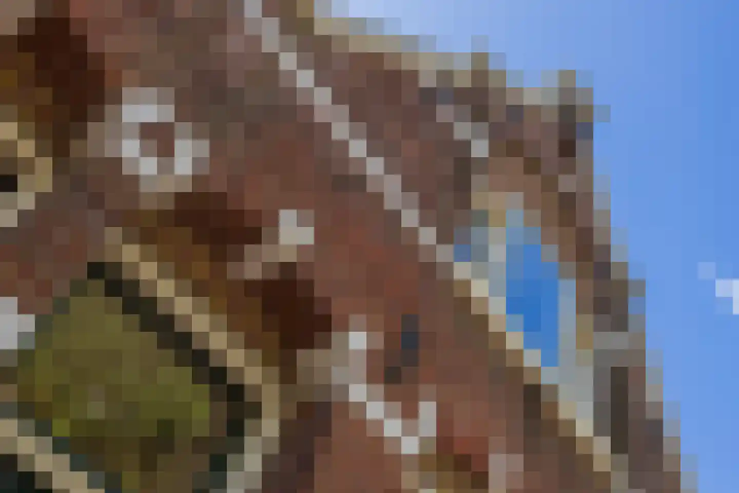 Oude Rijnzichtweg 9 Oegstgeest thumbnail 26