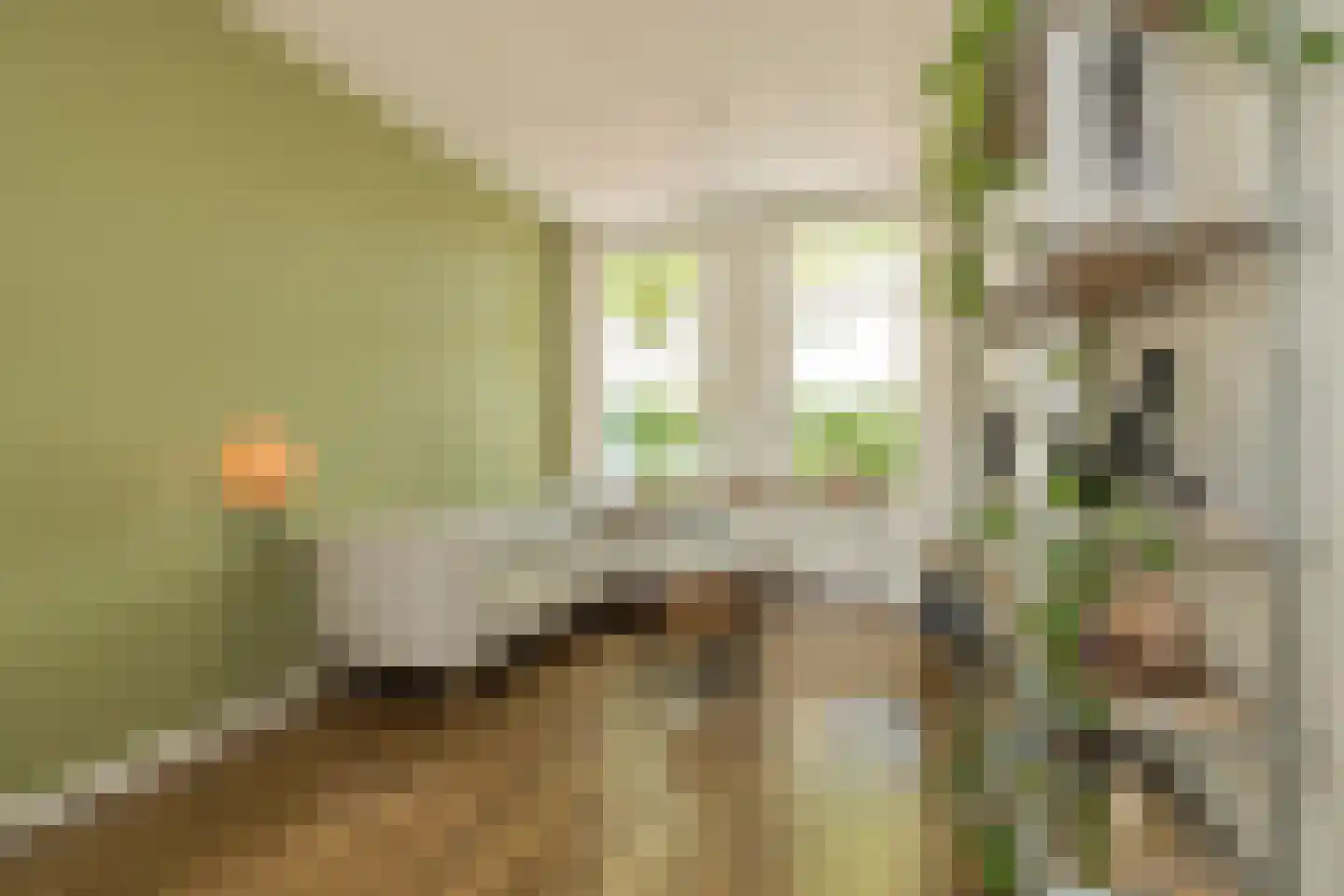 Oude Rijnzichtweg 9 Oegstgeest thumbnail 8