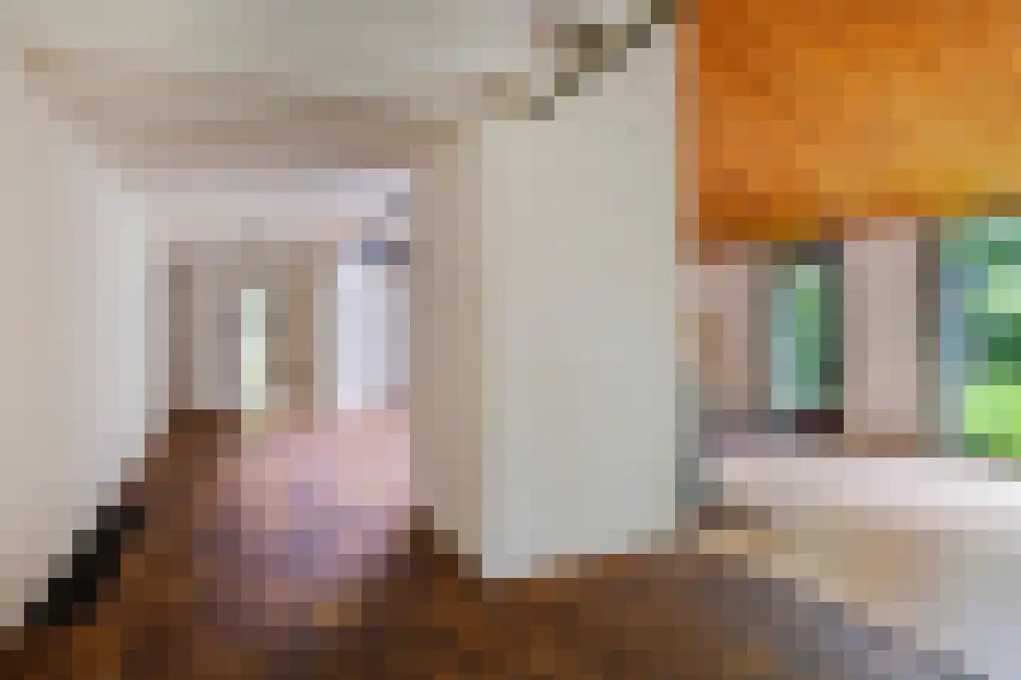 Oude Rijsbergsebaan 6 Breda thumbnail 13