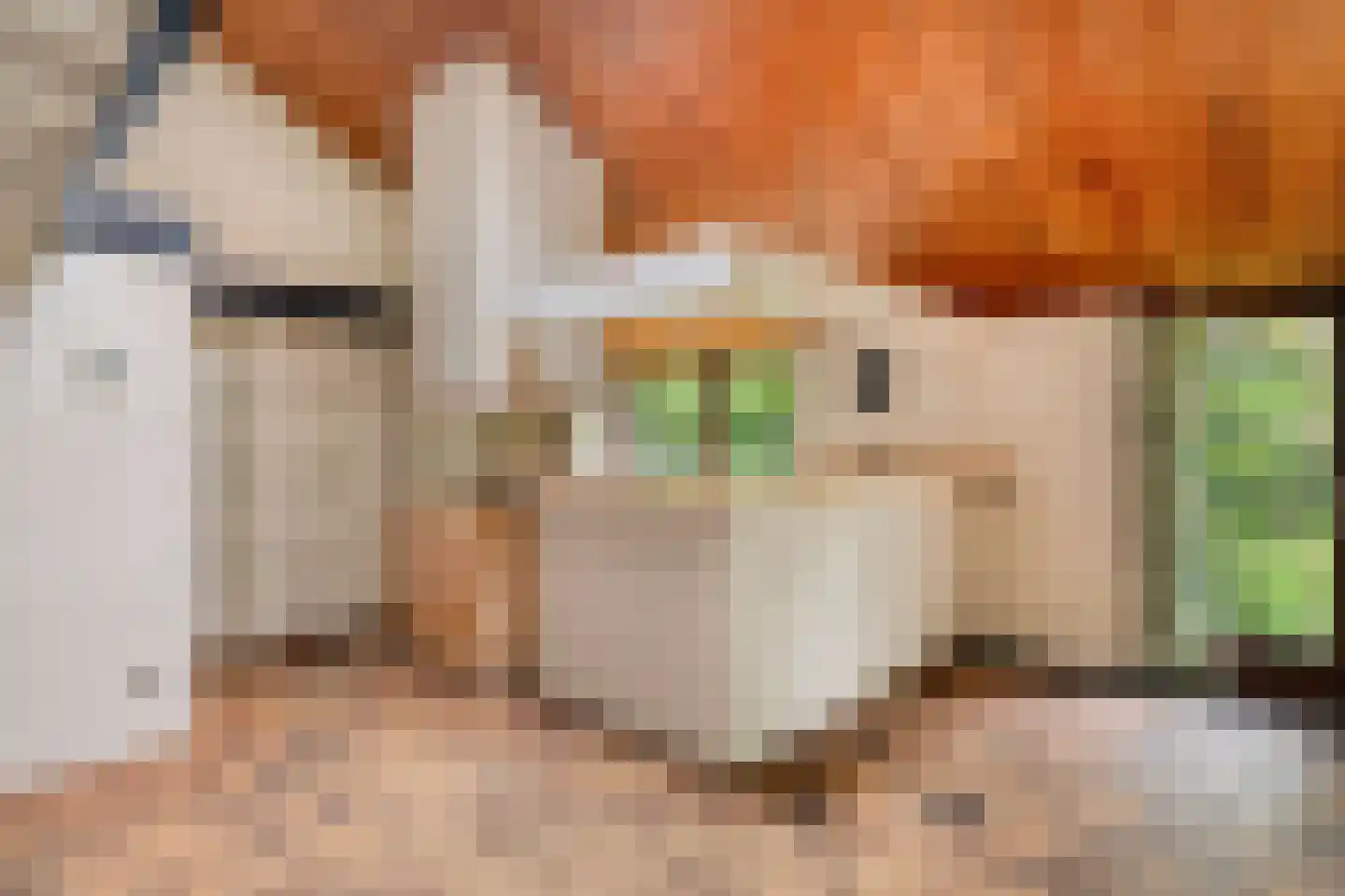 Oude Rijsbergsebaan 6 Breda thumbnail 19
